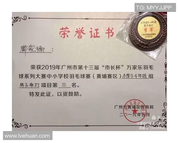 深圳羽毛球队在杯赛中的个人能力分析与表现评估