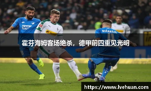 完美体育365平台官网