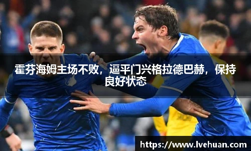 完美体育365平台官网