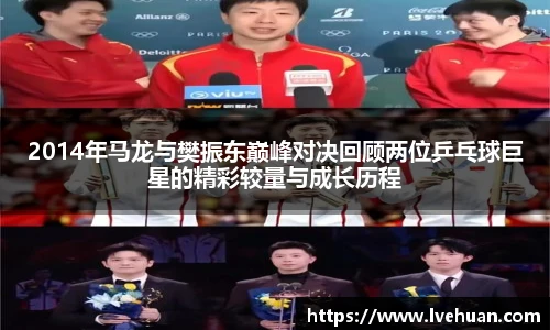 完美体育365平台官网
