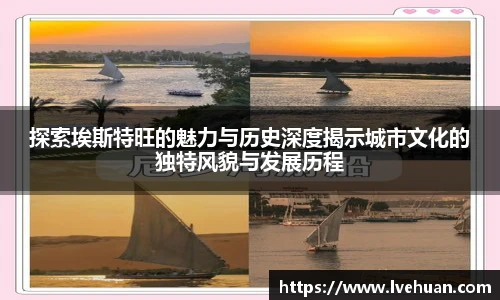 完美体育365平台官网